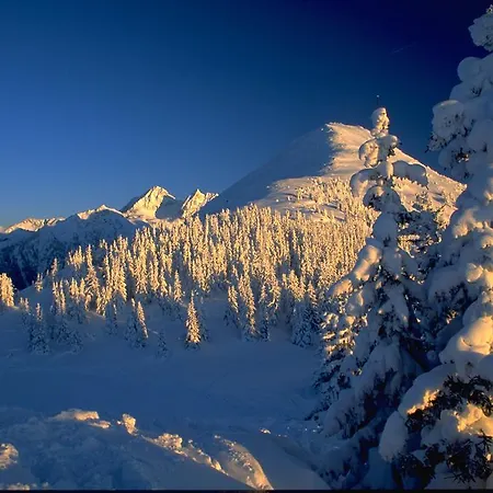 Apartament Edelweiss