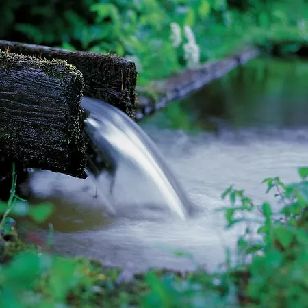 Апартаменти Edelweiss